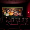 The Sloth Lane Screening