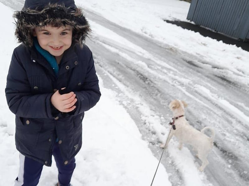 Davin and Ollie the Cavachon enjoying the snow in Burnfoot.