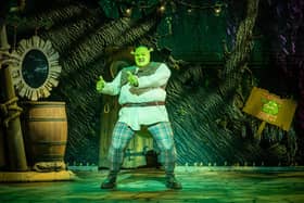 Shrek the Musical is being staged at the Millennium Forum until Sunday, April 21.