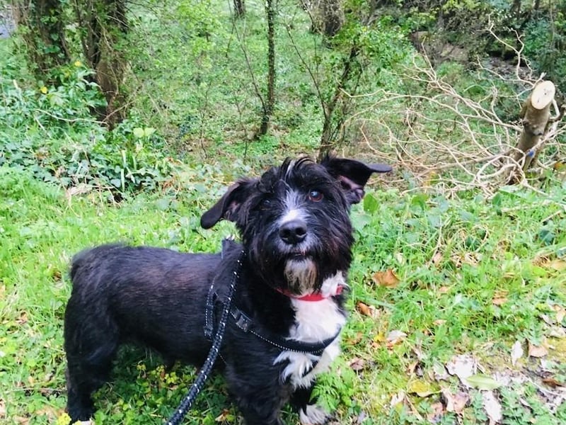 Murphy