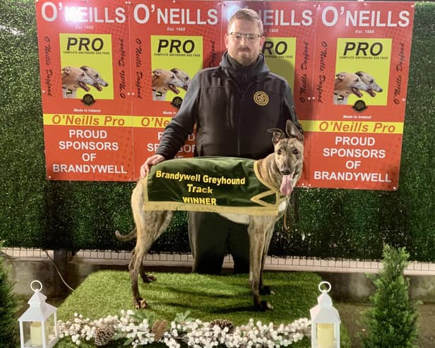 Brandywell winner 'Brassneck Coyle' with Martin Healy.