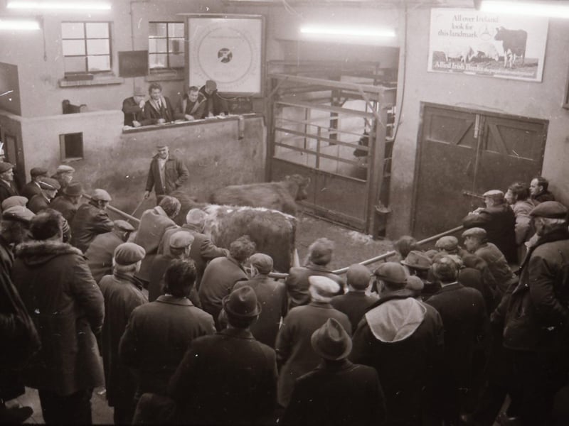 Carn Mart in Inishowen.