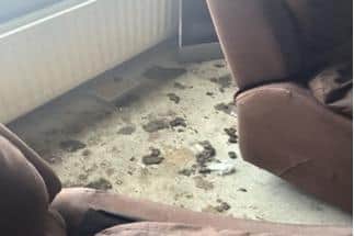 The unhygienic conditions the dogs were found in in June 2022.