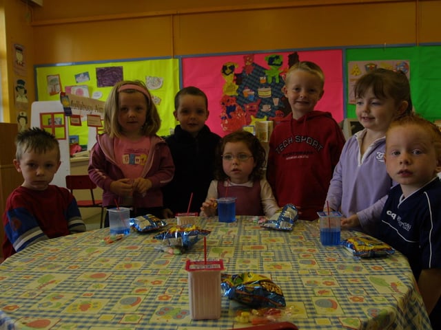 Cara Curran's 4th birthday at Mullabuoy Nursery.