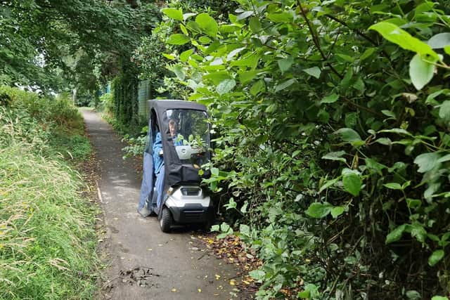 The overgrown trees and shrubs are creating blind spots along the route.