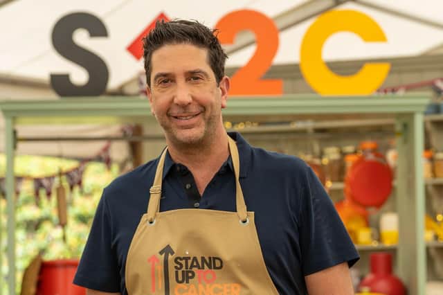 The Great Celebrity Bake Off for Stand Up to Cancer welcomes arguably the biggest signing is actor David Schwimmer, better known as Ross from Friends