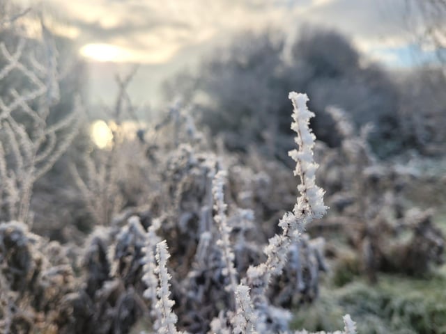 .:Winter walk on the Bay Road