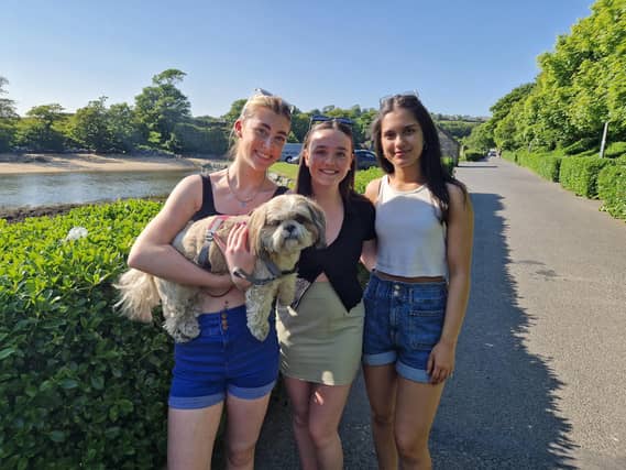Alannah McDaid and Lucy, Ava McIntyre and Jennah Rahim enjoying the good weather in Swan Park, Buncrana.