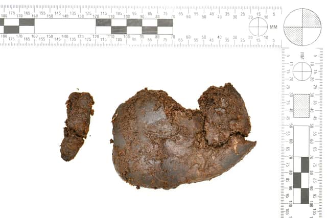Remains of a kidney among human remains dated over 2,000 years old that were recently discovered in Bellaghy