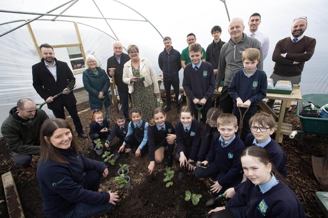 Hollybush pupils hard at work in their new polytunnel last week.
