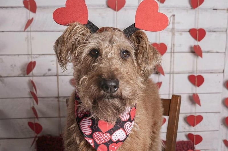 Maggie from Derry by Charlotte Boyle Photography.