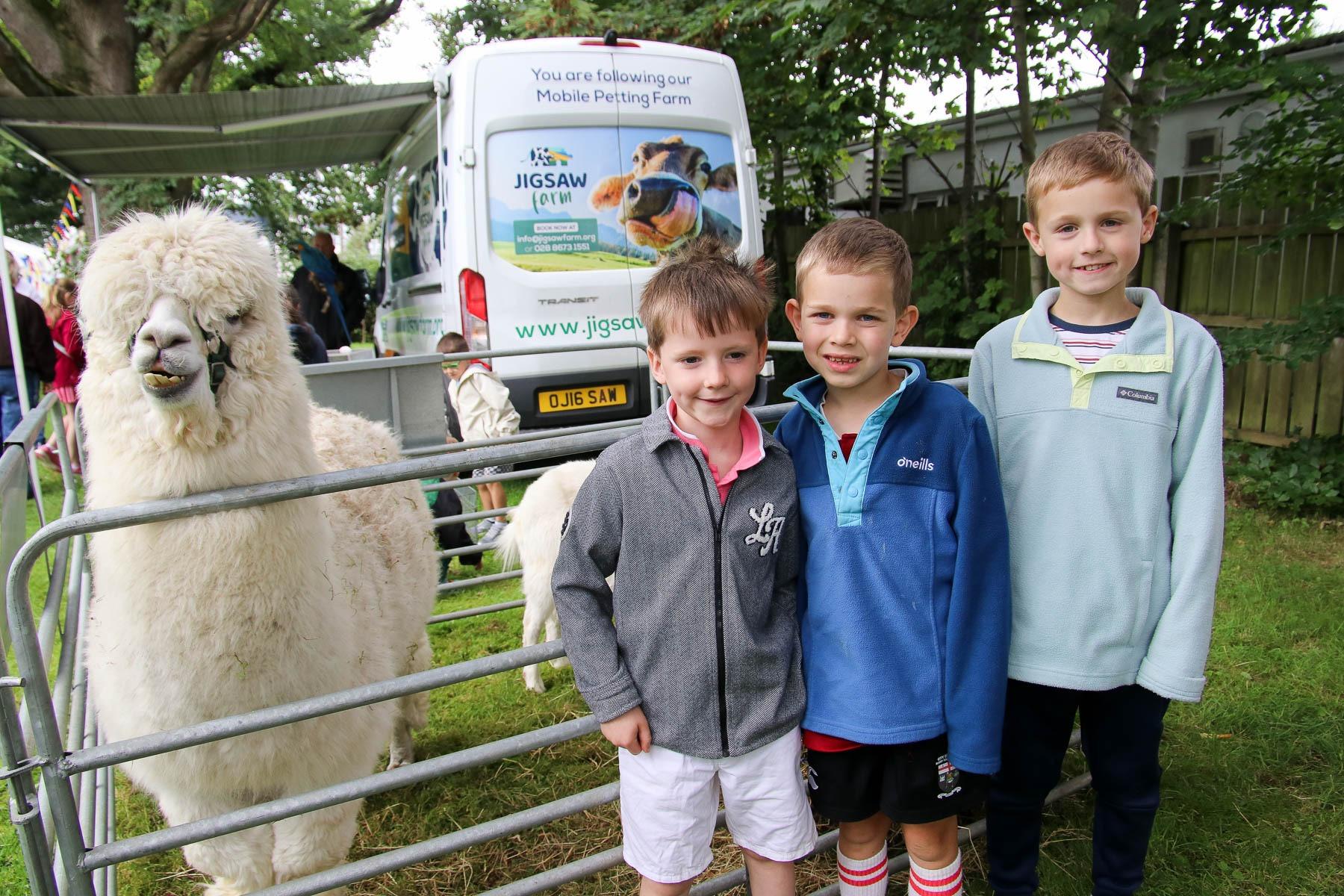 Matthew, Daniel and Luke with the Alpaca.  (Photo - Deirdre Heaney, nwpresspics)
