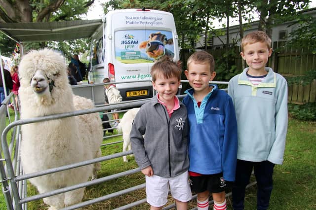 Matthew, Daniel and Luke with the Alpaca. (Photo - Deirdre Heaney, nwpresspics)