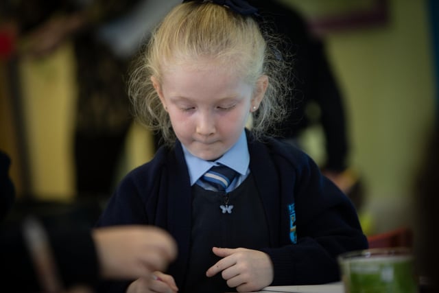 Eimear C hard at work during P1 lessons at Hollybush PS this week. (Photos: Jim McCafferty Photography)