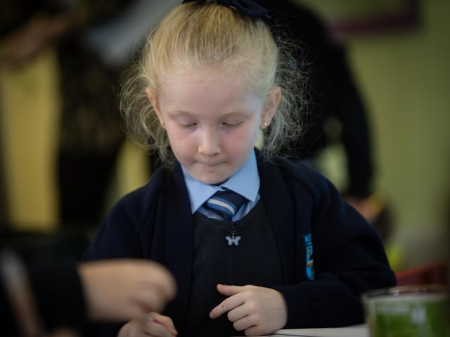 Eimear C hard at work during P1 lessons at Hollybush PS this week. (Photos: Jim McCafferty Photography)