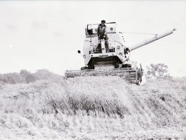 Harvest time in 1985.