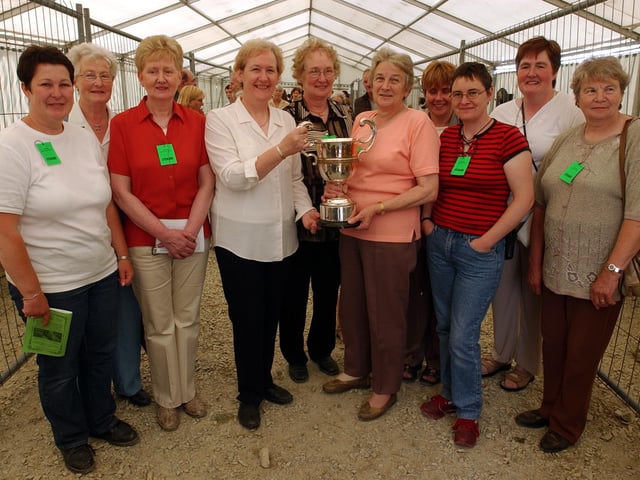 A group pictured at the presentation of the Ceimici Teoranta Cup to Guild with the most points. From left: Diane Harkin, Mary Gillen, Kathleen Roddy, Olive Park, chief steward Evelyn McCandless and Virginia Hann, Carn ICA, winners, Rosaleen McLaughlin, Roberta David, Marian Kelly and Mary Reilly.