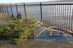 Debris strewn on the Meadowbank Quay on Saturday, December 7.