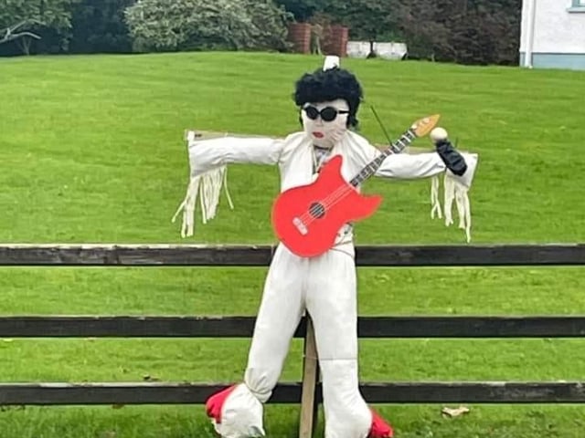 This Elvis is more than a little shook up.