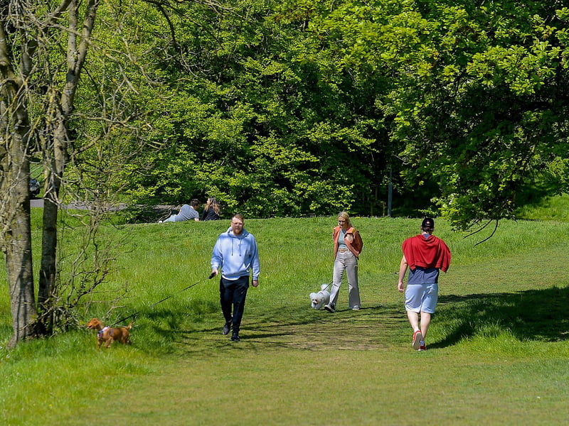 Why not take the dog for a good old fashioned walk about town or, even better, head to your nearest beach, woodland or park. Derry has plenty of beaches on our doorstep and parks like St Columb's Park, pictured, Brooke Park and Top of the Hill Park, there's loads of places to get exploring and let your dog use their nose. Even better, they'll be exhausted when they come home! DER2120GS – 010
