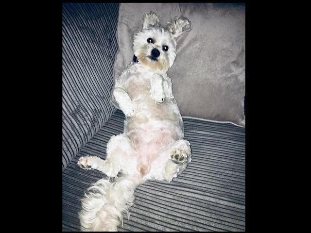Tilly