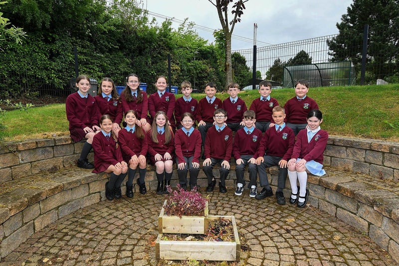 Mr Carlin’s P7 class at St John’s Primary School.