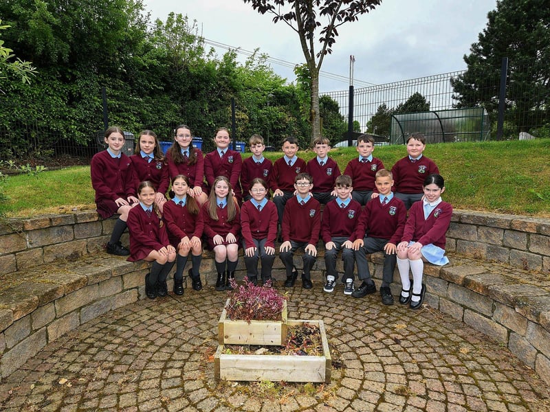 Mr Carlin’s P7 class at St John’s Primary School.