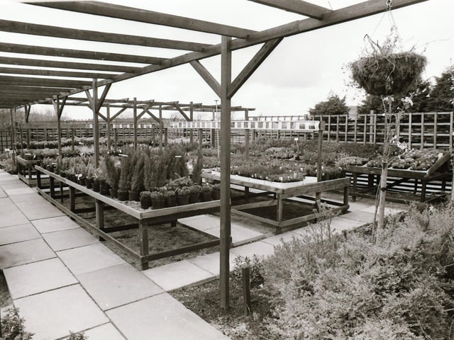Willowhill Nurseries.