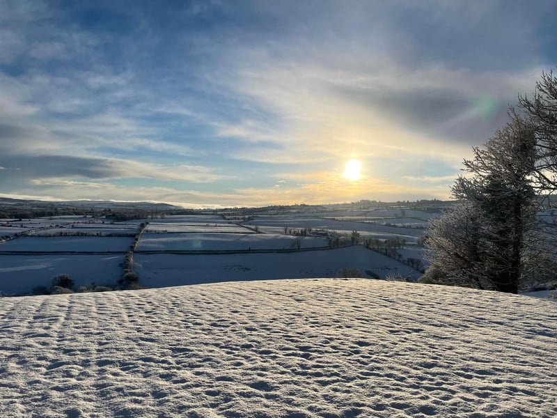 A stunning view looking across to Ardmore/the Sperrins by Catherine Doran.