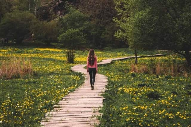 ‘Looked After? A Formal Investigation into the Life of a Child in the care of the State’ identifies systemic failings in the care of a young woman.