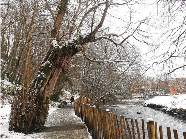 A winter scene at Swan Park. Picture by Rosemary Doherty.