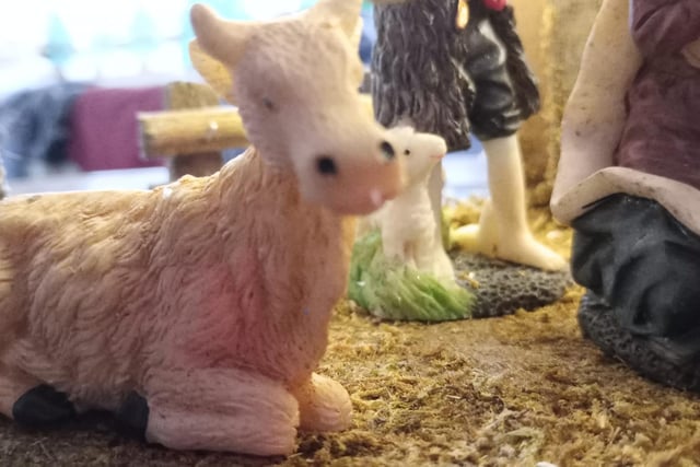 Although the lambs may have accompanied the shepherds of Luke's gospel, neither Luke nor Matthew make any reference to the presence of animals in the nativity story. But there was another widely distributed text, known as the gospel of James, reportedly from the 2nd Century, which did. The text was not included when the new testament was being compiled by Bishop Irenaeus in the late 2nd Century, but scholars say it was widely known across the Christian world, and much of what it says has passed into Christian understanding of the Holy Family, and indeed into the nativity scene we have today. It is in this text that we find much more detail on the back stories of Mary and Joseph. It is here that Mary's parents are named as Anna and Joachim, and that Joseph is described as being much older than Mary and a widower, as is often depicted in nativity sets and other art works. And it is also here, in this non-Biblical text, that the oxen and the donkey feature in the nativity story. Of course in ancient times up until relatively recently, people lived closer to, and more in harmony with, the natural world, often sharing the same buildings as animals, so what may seem odd today may not have been all that odd in generations past.