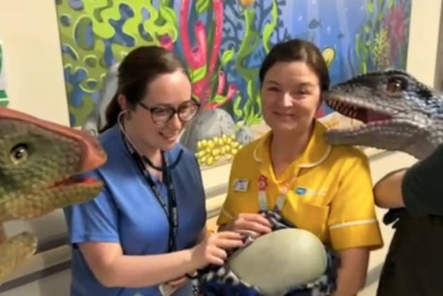 Dr Caoimhe Harvey Paediatric Doctor in the Children's Ward at Altnagelvin Hospital checks the baby dinosaur egg pictured along with Cathy Grady