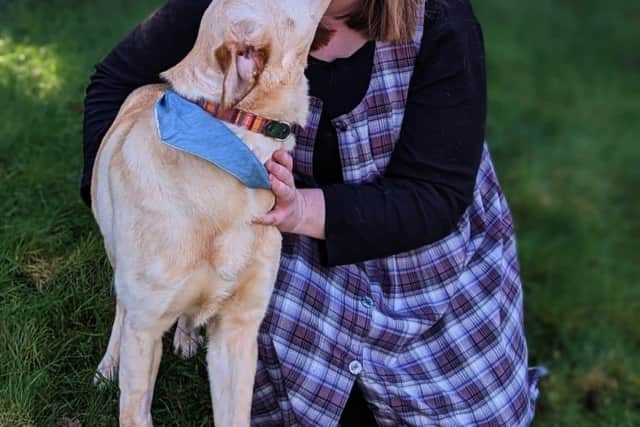Honey is available for adoption but her foster family are more than happy to keep her until the 'perfect' family comes along.