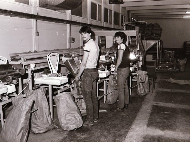 40 years ago: 1984 Quigg's Fruit Store at Springtown in Derry.