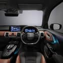 Suzuki e Vitara.