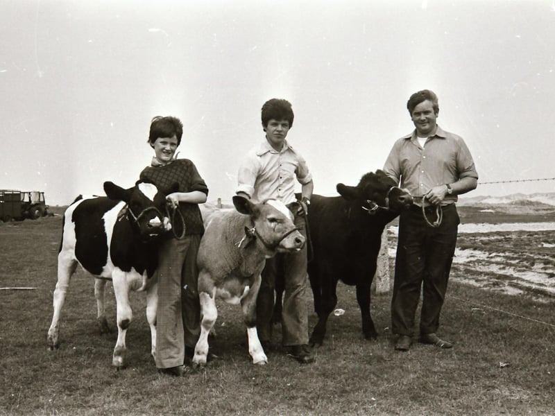 Clonmany Festival and Clonmany Sheepdog and Agricultural Show.