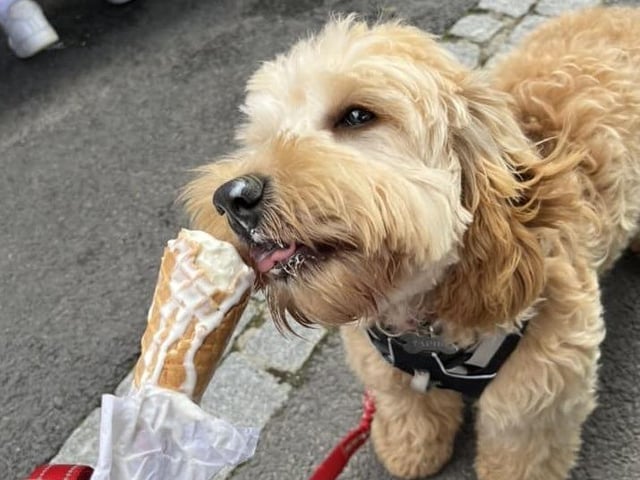Enjoying an ice cream