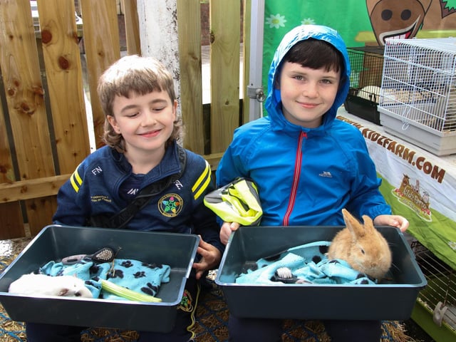 Faolan and Barra at the “KidzFarm” at “Rooted in Wellness” annual Big Lunch & Health Event at Farland Way (Photo - Deirdre Heaney, nwpresspics) : .