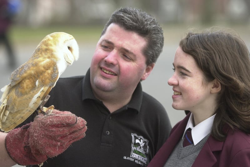 Seamus McLaughlin from the Ulster Wildlife Trust shows Lisa McLaughlin a Barn Owl when he visited Foyle and Londonderry College to present them with a certificate after they raised money for the charity.