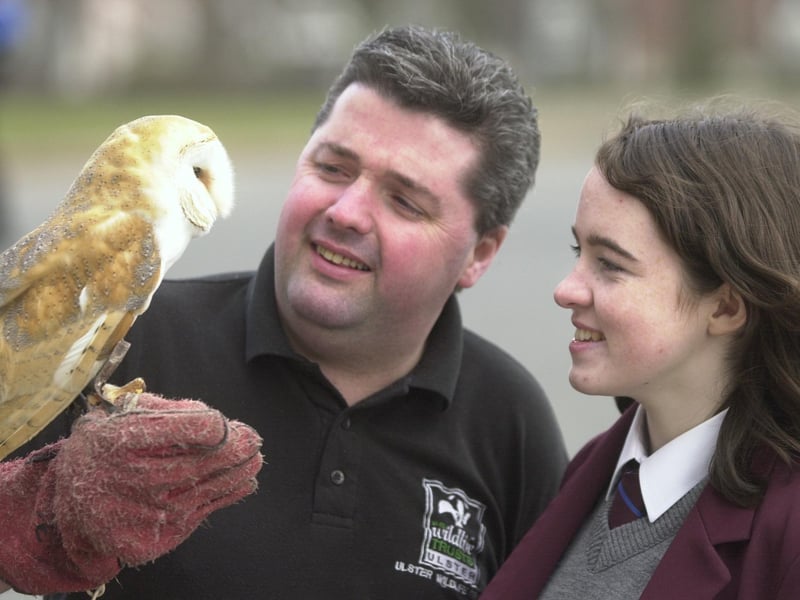 Seamus McLaughlin from the Ulster Wildlife Trust shows Lisa McLaughlin a Barn Owl when he visited Foyle and Londonderry College to present them with a certificate after they raised money for the charity.