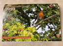 The Burt, Inch and Fahan calendar