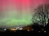 The Aurora Borealis on Sunday night, pictured from Inch Island, overlooking Fahan. Picture: Rosalyn McLaren.