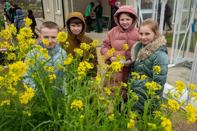 The new gardens at the Gate Lodge at the entrance to St. Columb’s Park have been completed and has hosted pupils from St. Anne’s Primary School who planted the first seed potatoes in one of the raised beds with the help horticulturalists from Acorn Farm and Conservation Volunteers, follow a plant discovery trail. The event was attended by the Mayor, Councillor Lilian Seenoi-Barr, council officials and Paul Sweeney Chairman of the National Lottery Community Fund Committee. Picture Martin McKeown. 27.03.25