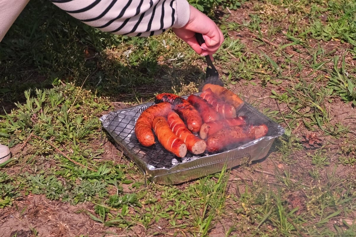 Going green: ​Think of fire risk before choosing BBQ picnic