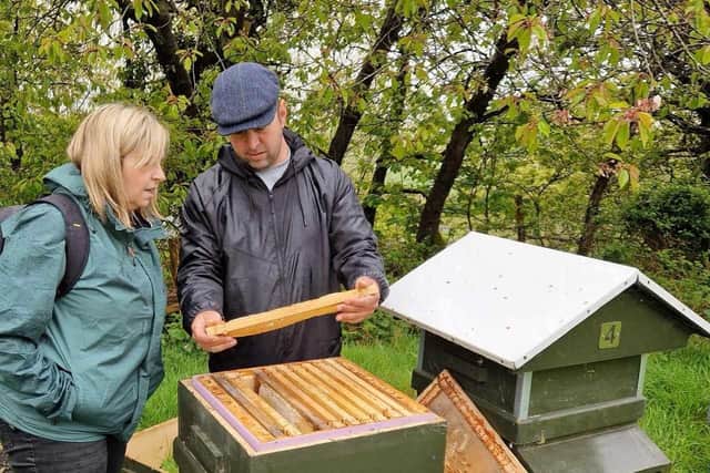 Abdul explains the art of beekeeping and honeycombs to Journal reporter Laura Glenn.