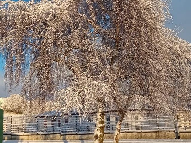 Derry Journal readers' snow pics