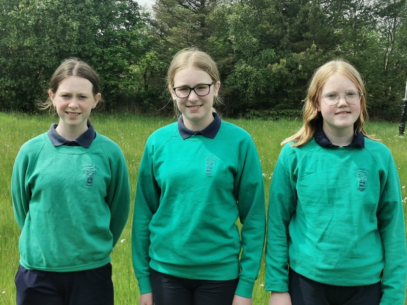 Pupils from Donagh National School.