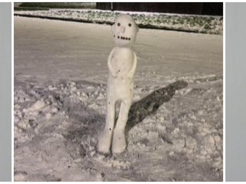 Here we have Caoimghin McGlinchy's great snow man. Photo: Chloe McCourt