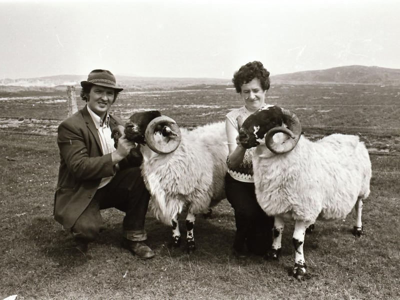 Clonmany Festival and Clonmany Sheepdog and Agricultural Show.